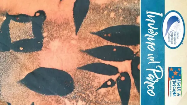 Decolorare con le foglie laboratorio creativo di “s-tinteggiatura”