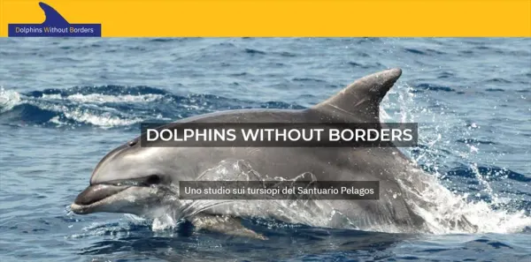 Delfini senza Frontiere