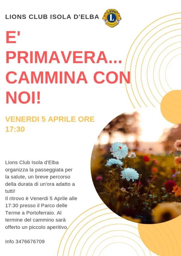 DIABETE GRUPPI DI CAMMINO