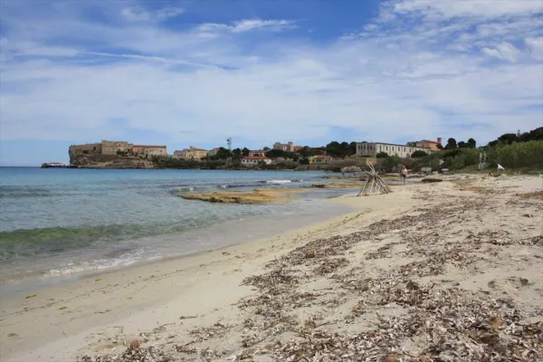 Isola di Pianosa. Le Isole, un ponte per le migrazioni