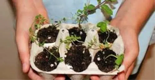 Non chiamateli rifiuti - Laboratorio per bambini