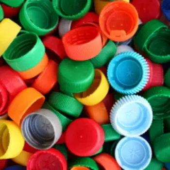 Stufato di Plastica - Laboratorio CEA Lacona (da 7 anni in su)