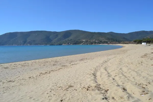 Elba, l'Isola delle tartarughe - Laboratorio CEA Lacona (da 6 anni in su)
