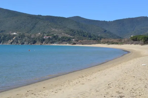 Elba, l'Isola delle tartarughe - Laboratorio CEA Lacona (da 6 anni in su)