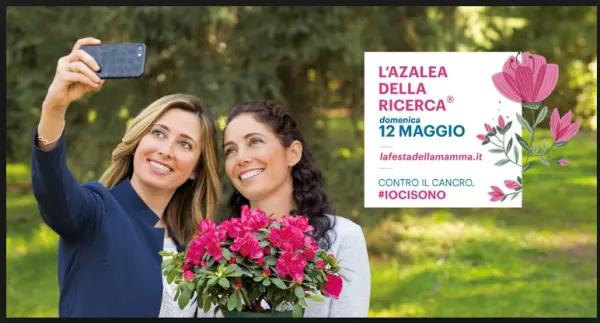 L'AZALEA DELLA RICERCA