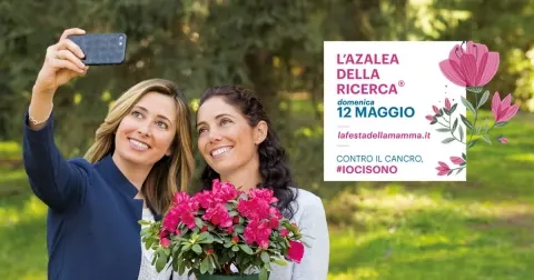 Azalea della Ricerca
