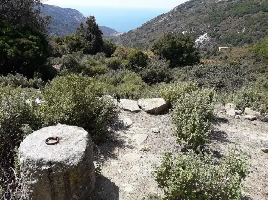 Periplo della valle di Pomonte, con passaggio dalla via delle antiche cantine