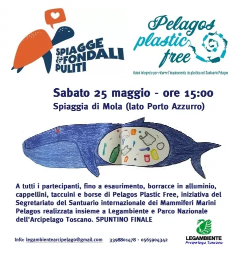 Spiagge e fondali puliti