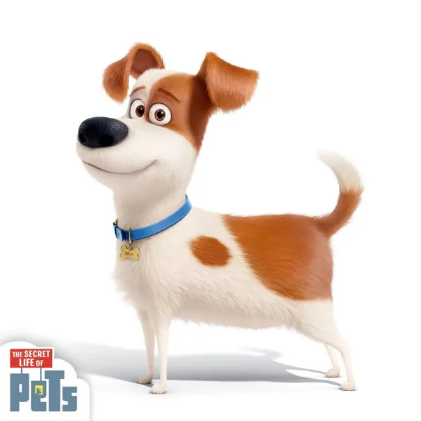 PETS 2 - VITA DA ANIMALI