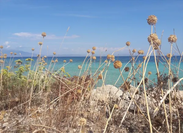 Gli eventi dell'estate a Pianosa