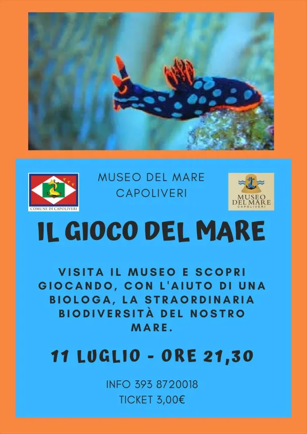 Il Gioco del Mare