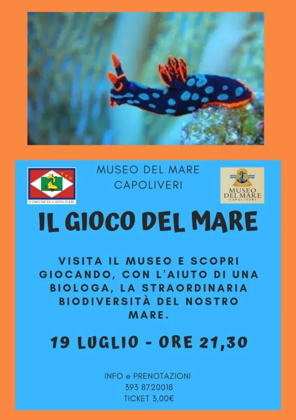 Il Gioco del Mare