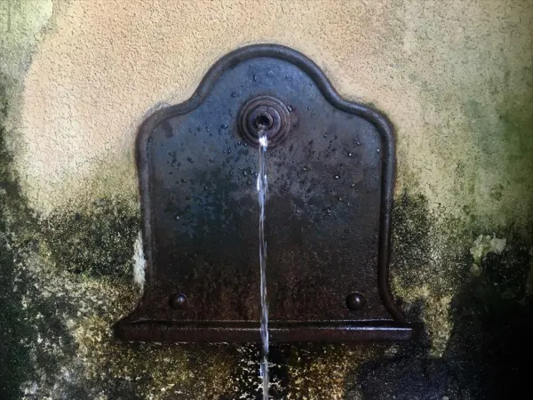 Ramadoro Festival a Poggio con l'escursione: la fonte dell’imperatore.