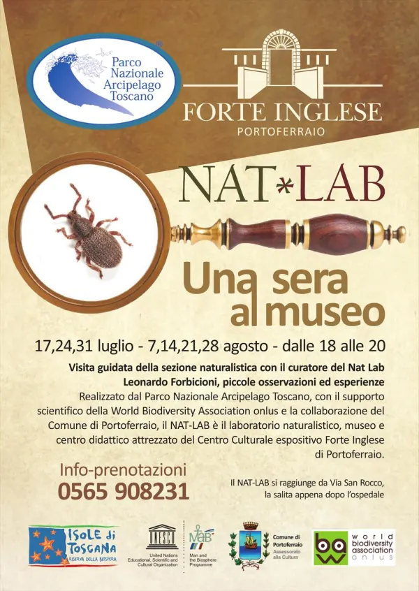 Una sera al museo