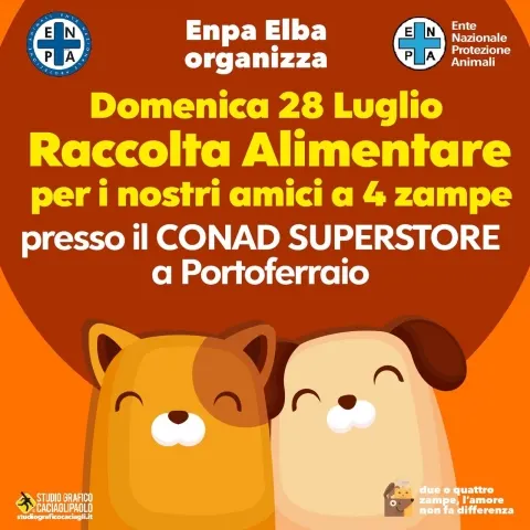Raccolta Alimentare