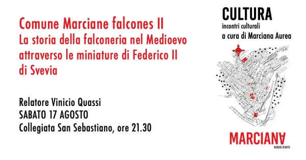 Comune Marciane falcones II