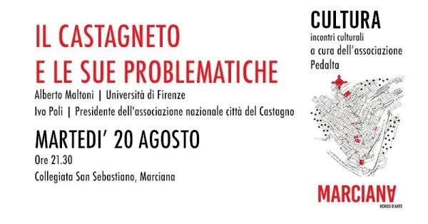 Il castagneto e le sue problematiche | associazione Pedalta