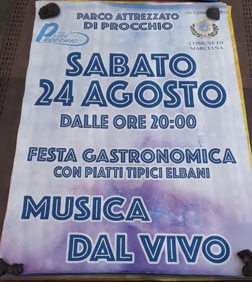 Festa Gastronomica