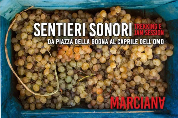 Sentieri Sonori | trekking e jam session