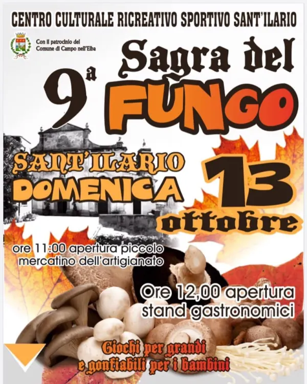 9° Sagra del fungo