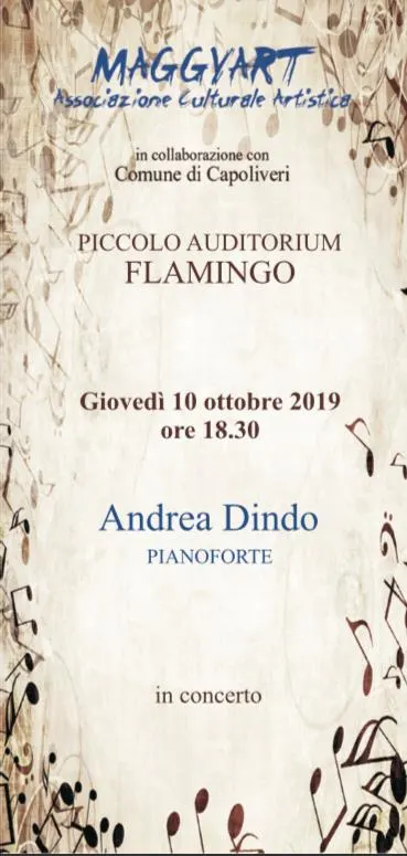 Andrea Dindo in Concerto al Piccolo Auditorium Flamingo