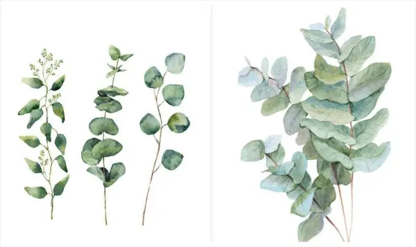 Stampe botaniche: laboratorio con Alessandra Ferrà