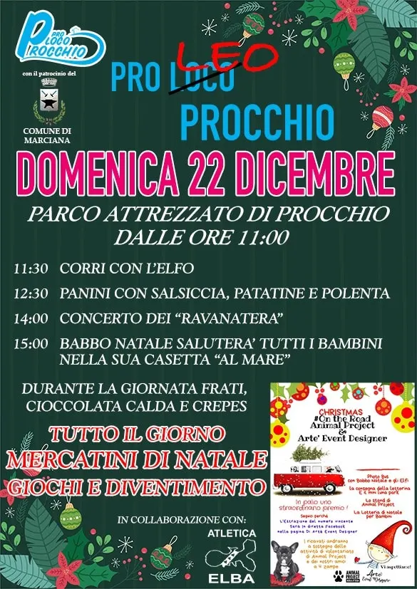 Festa di Natale