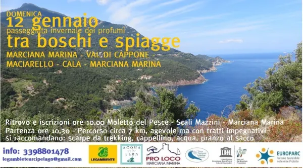 Tra boschi e spiagge