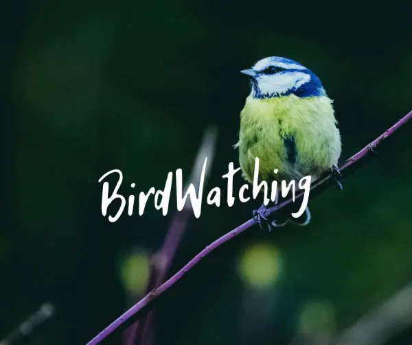 Laboratorio per bambini "Birdwatching in giardino"