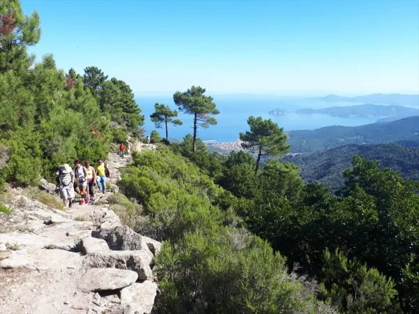 Isola d’Elba – Le Prunelle