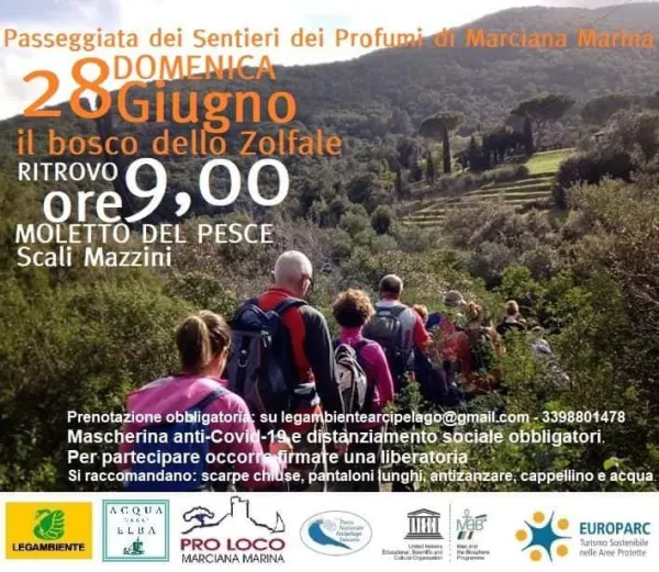 Passeggiata per i Sentieri dei Profumi a Marciana Marina - Il bosco dello Zolfale