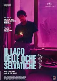 IL LAGO DELLE OCHE SELVATICHE