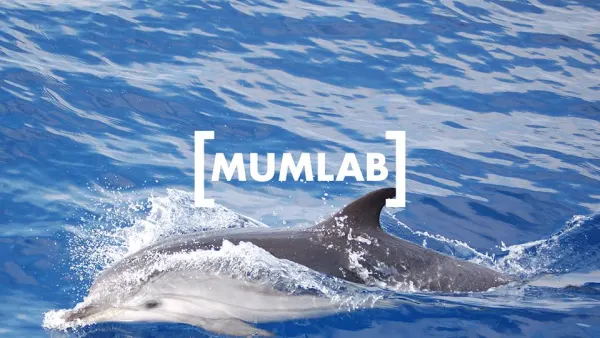 Pelagos - laboratorio didattico esperienziale