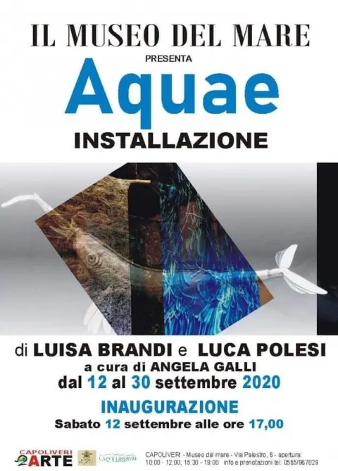 AQUAE