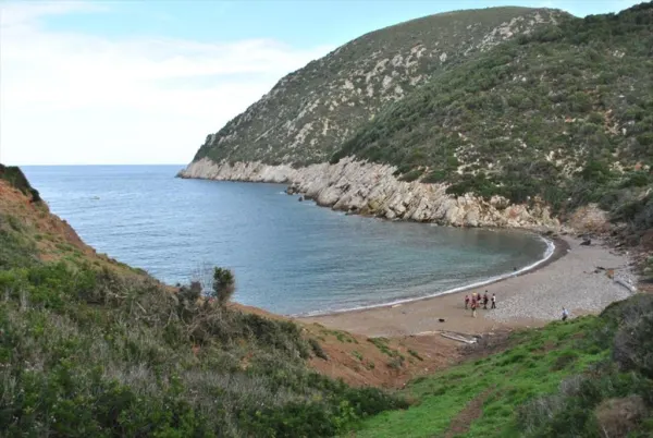 Anello dei Mangani