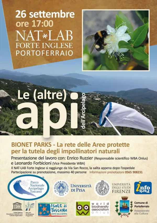 Le (altre) api dell’Arcipelago