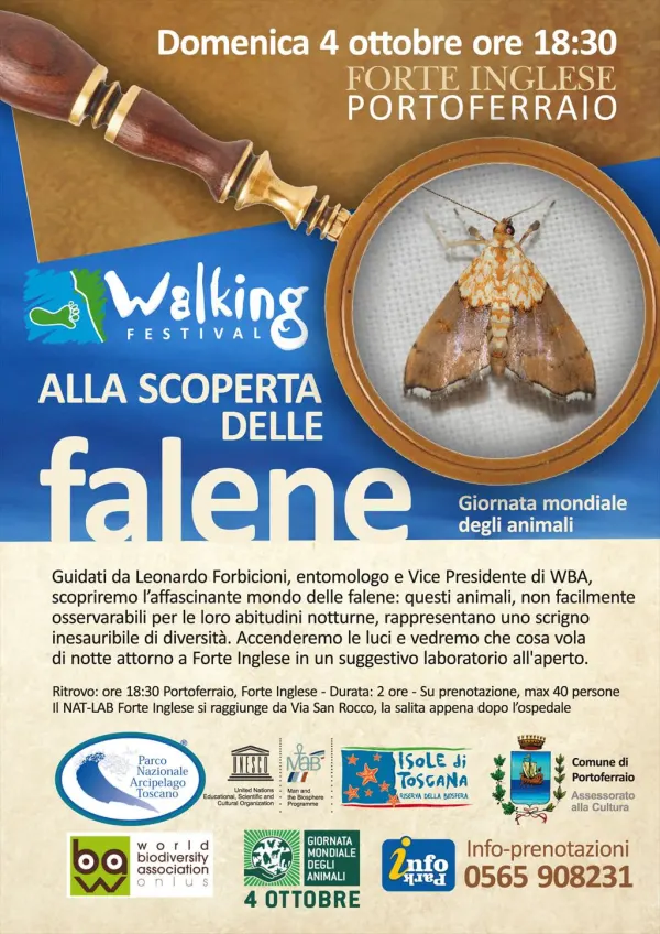 Alla scoperta delle Falene
