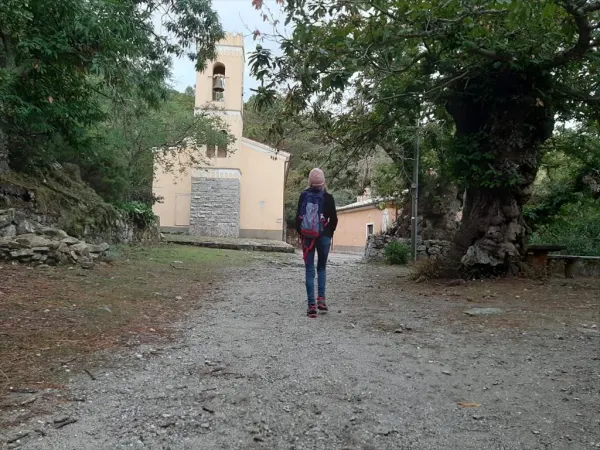 La via della castagna