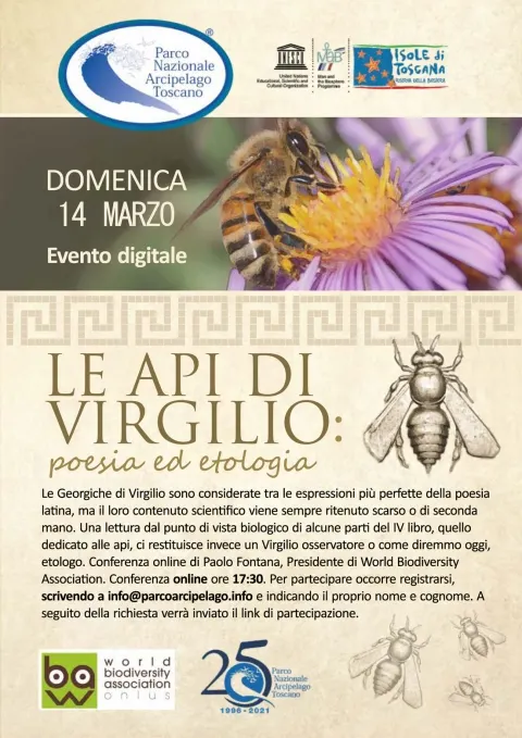 Evento digitale - Le api di Virgilio: poesia ed etologia