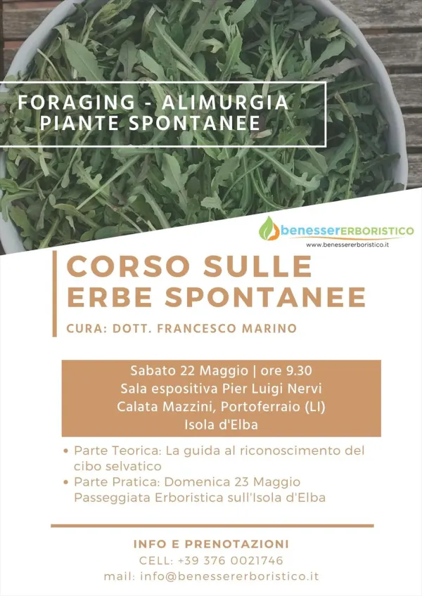 Corso sulle Erbe Spontanee