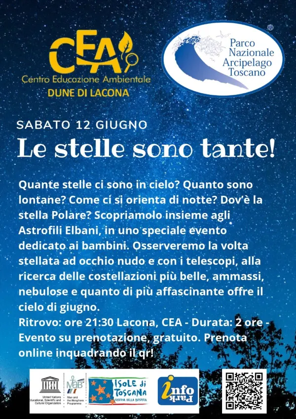 Le stelle sono tante!