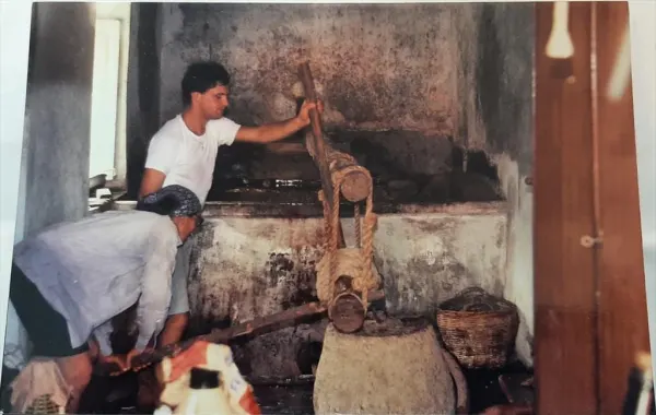 Elba insula vini ferax - La tradizione vinicola dell’Isola d’Elba: Patresi