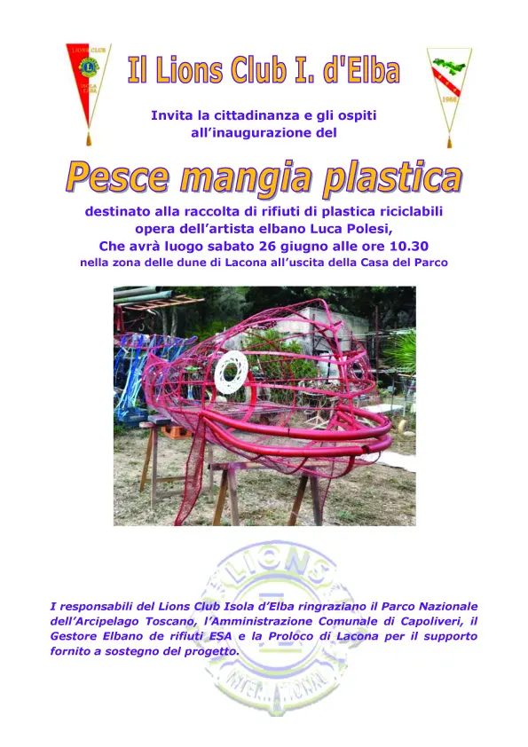 PESCE MANGIA PLASTICA NELLA SPIAGGIA DI LACONA