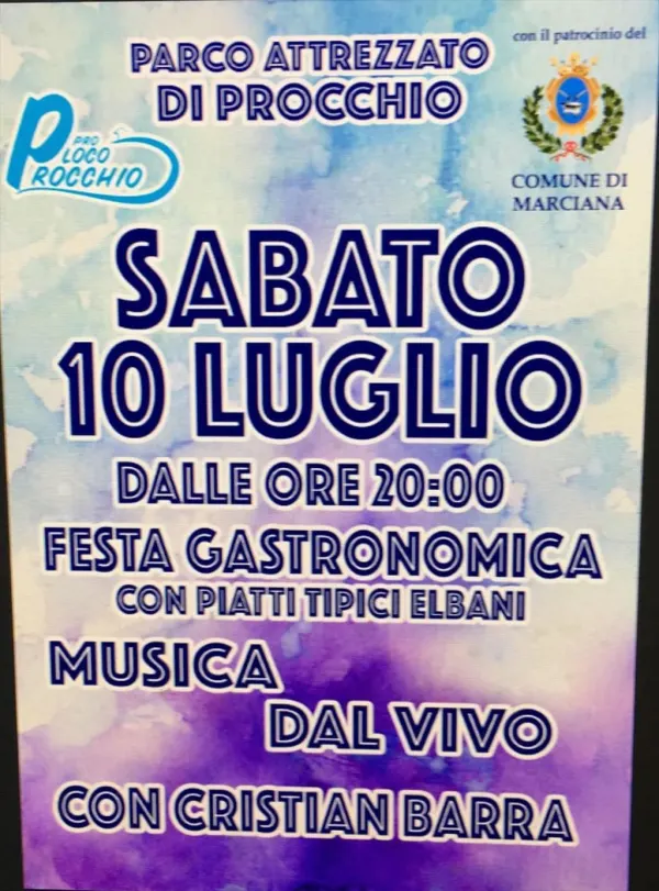Festa gastronomica