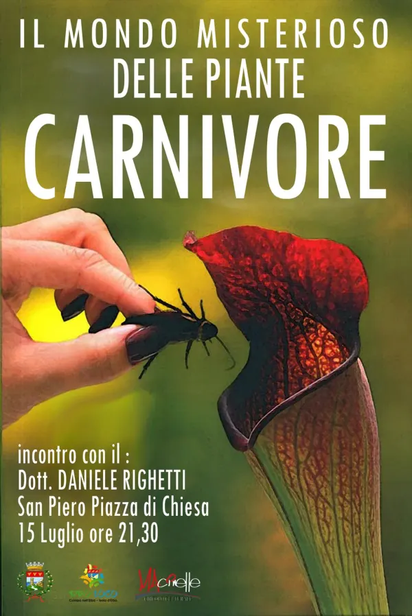 Il mondo misterioso delle piante carnivore