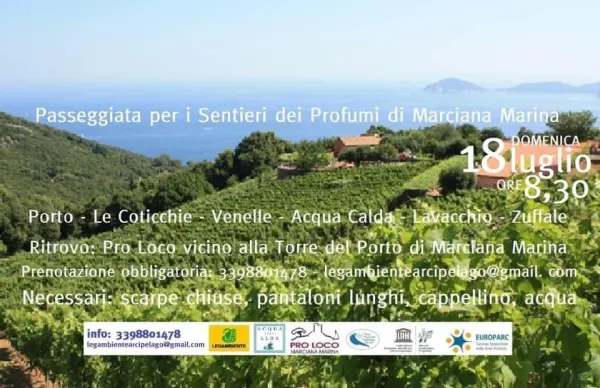Passeggiata per i Sentieri dei Profumi a Marciana Marina - Val di Cappone - Crinale della Ripa