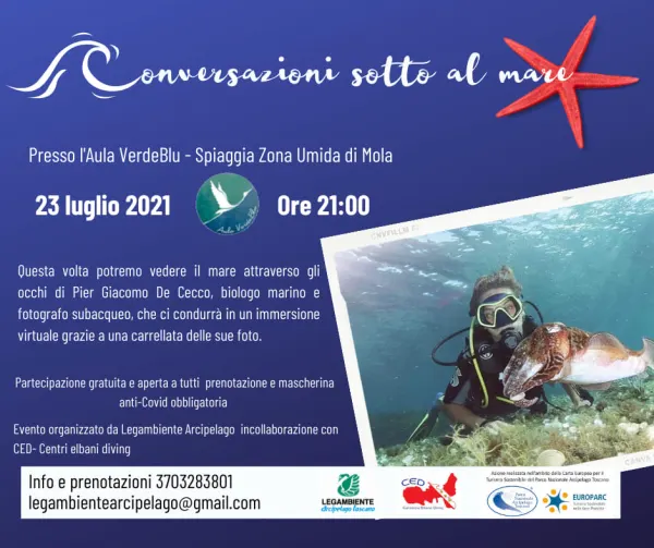 Conversazioni sotto al mare