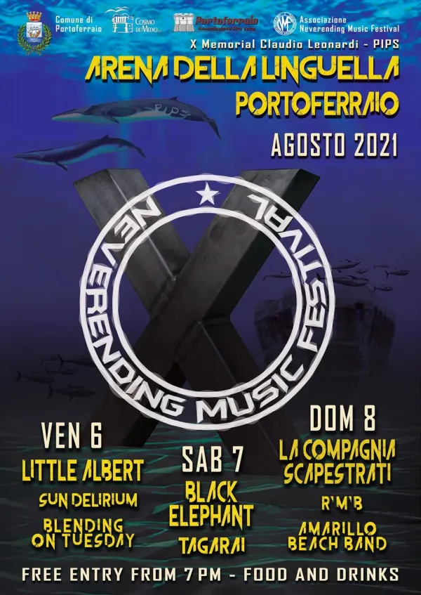 Neverending Music Festival﻿