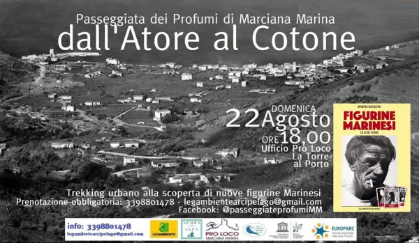 Dall'Atore al Cotone