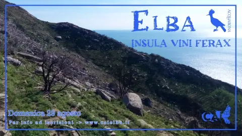 Elba Insula Vini Ferax